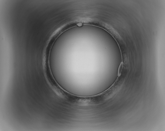 X0000113330440200909141010