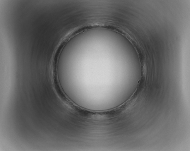X0000113330444200909141010