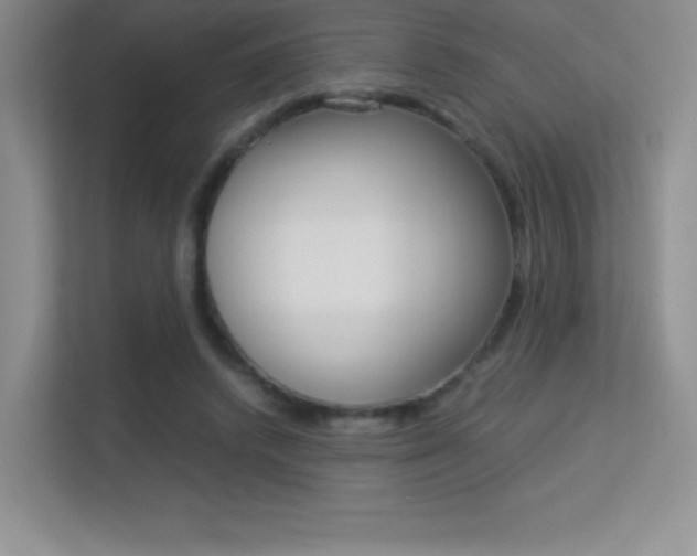 X0000113330448200909141010
