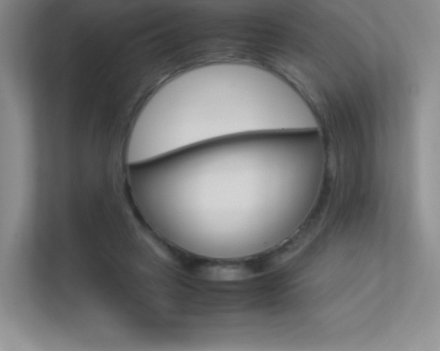 X0000113330449200909141010