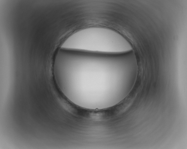 X0000113330450200909141010