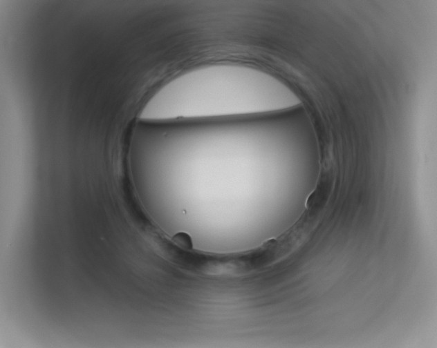 X0000113330452200909141010