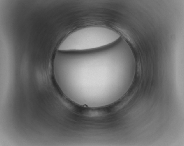 X0000113330453200909141010