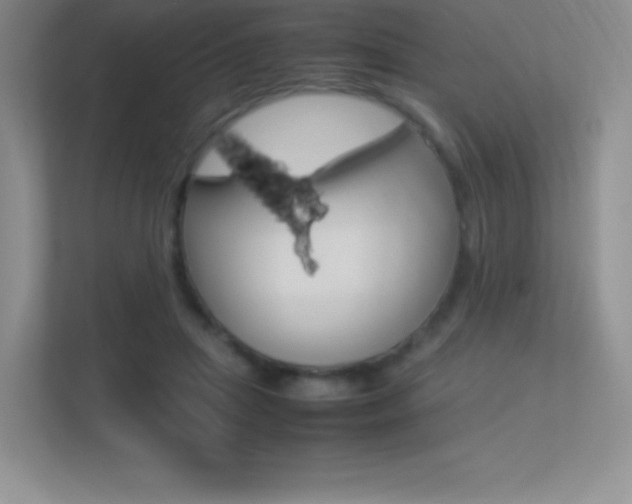 X0000113330455200909141010