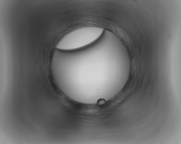 X0000113330463200909141011
