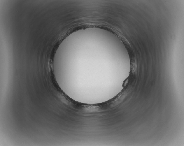 X0000113330476200909141011
