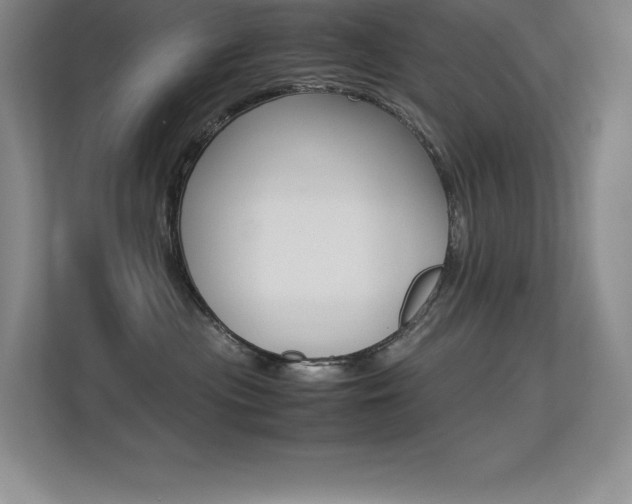 X0000113330477200909141011