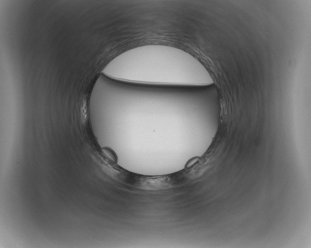 X0000113330479200909141011