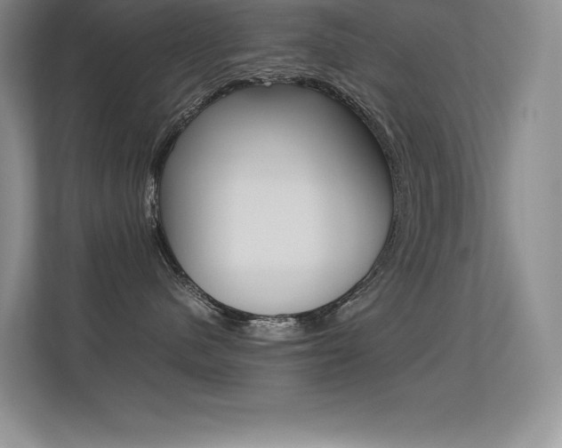 X0000113330480200909141011