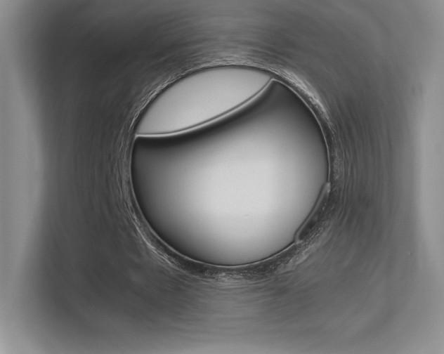 X0000113330481200909141010