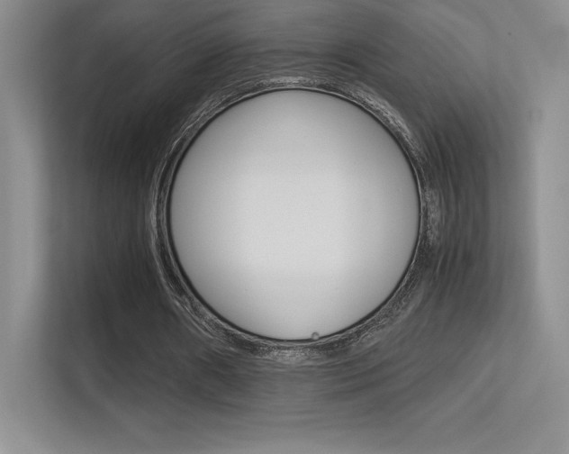 X0000113330482200909141010