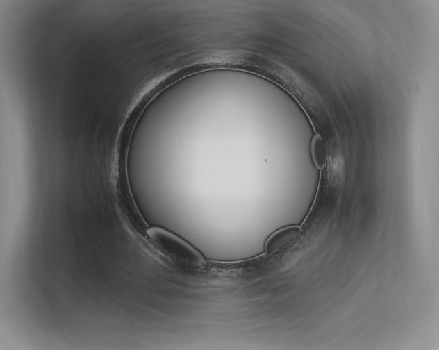 X0000113330484200909141010