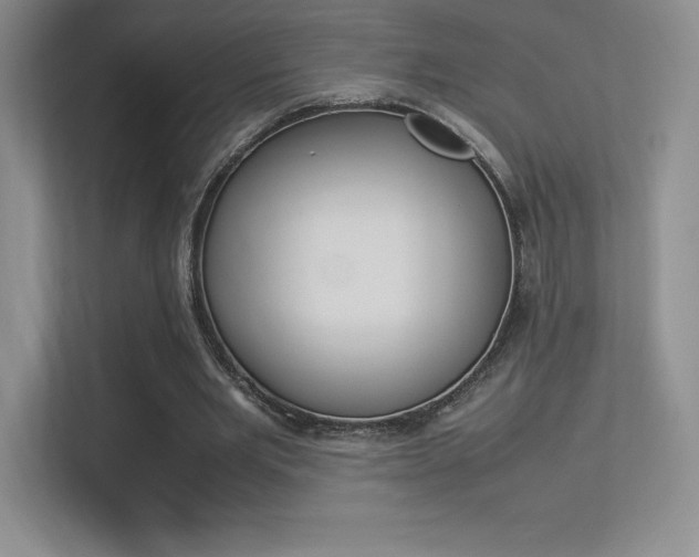 X0000113330485200909141010