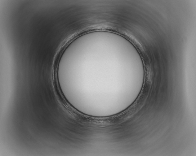 X0000113330486200909141010