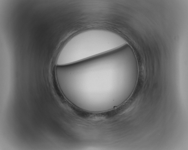 X0000113330491200909141010