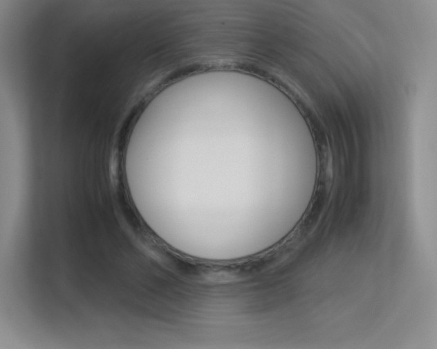 X0000113330494200909141010