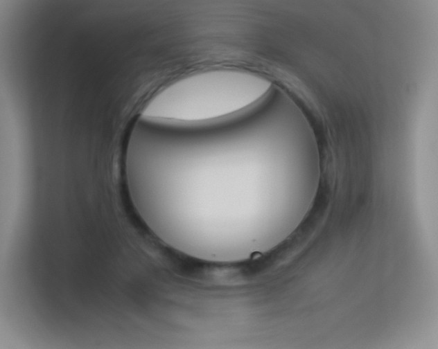 X0000113330501200909141010
