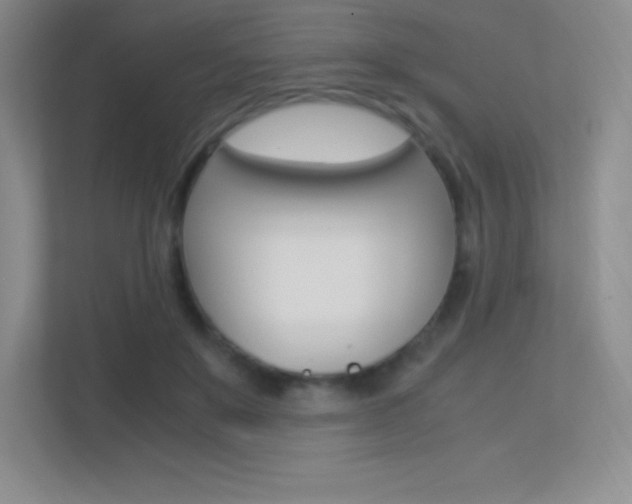 X0000113330503200909141010