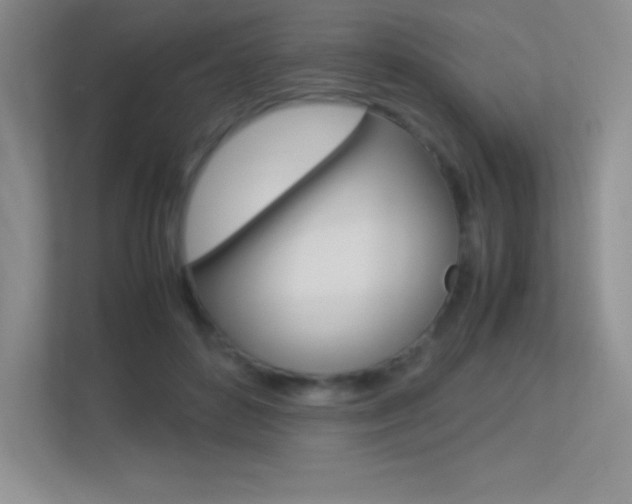 X0000113330504200909141010