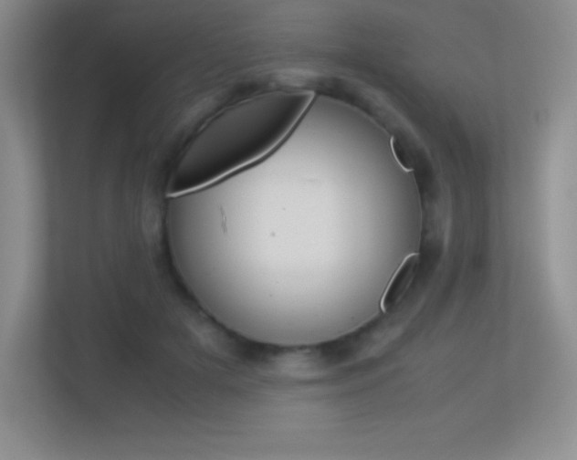 X0000113330505200909141010