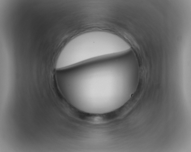 X0000113330509200909141010