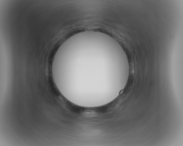 X0000113330519200909141010