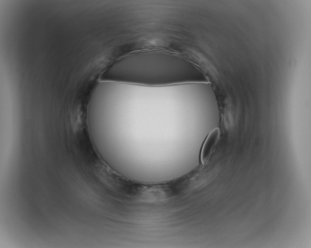 X0000113330520200909141010
