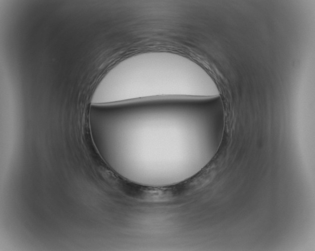 X0000113330521200909141010
