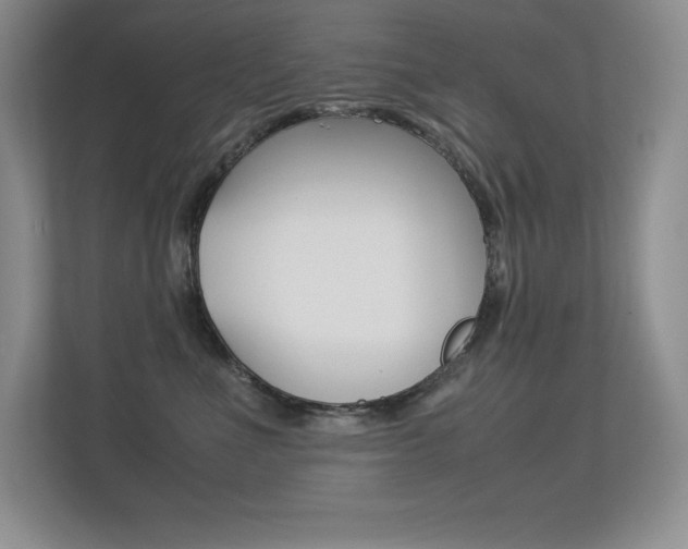 X0000113330523200909141010