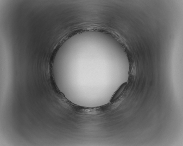 X0000113330524200909141010
