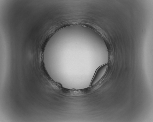 X0000113330525200909141010