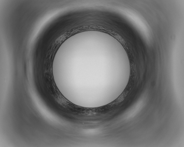 X0000113330526200909141010