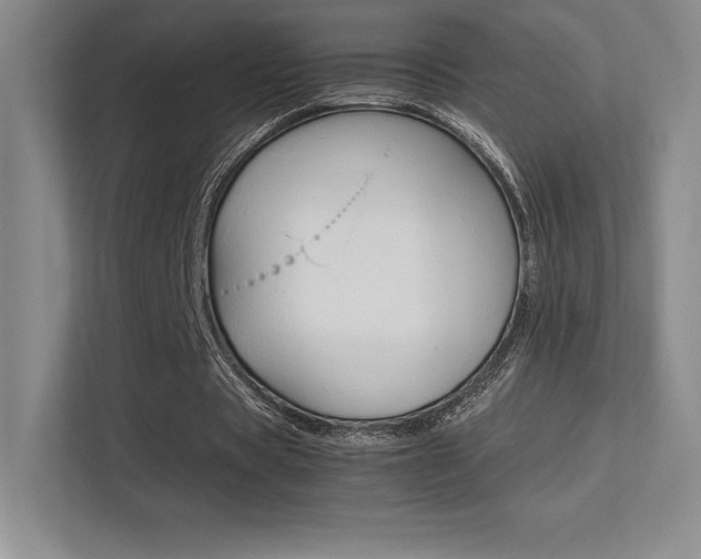 X0000113330529200909141009