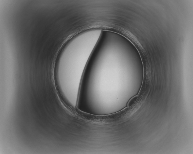 X0000113330530200909141009