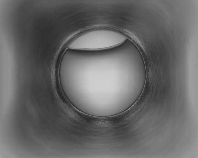 X0000113330535200909141009