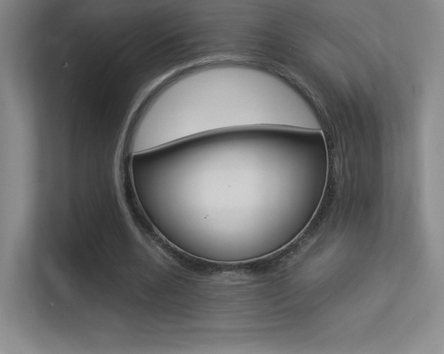 X0000113330536200909141009