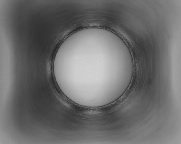 X0000113330537200909141009