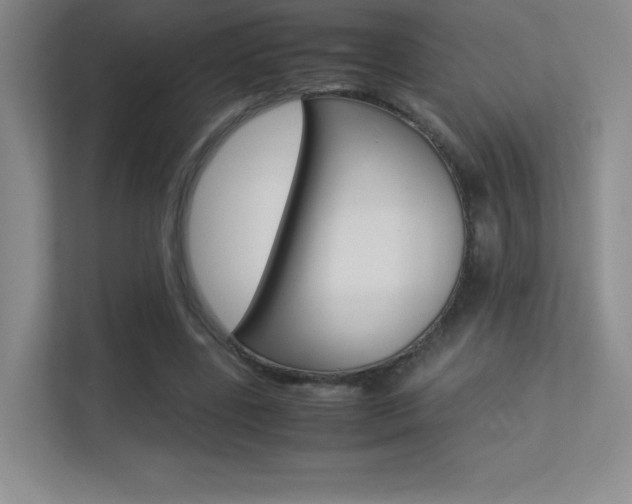X0000113330539200909141009