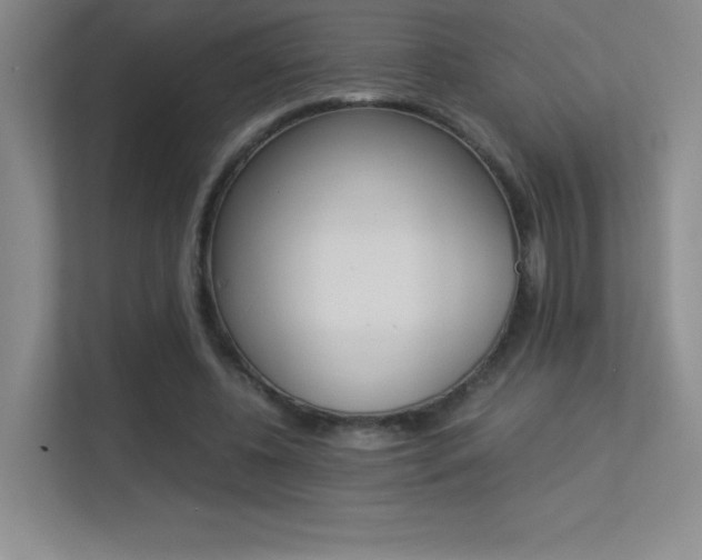 X0000113330540200909141009