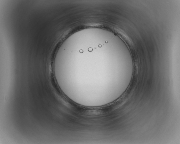 X0000113330541200909141009
