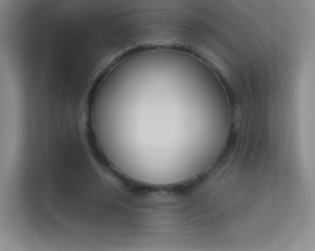 X0000113330544200909141009