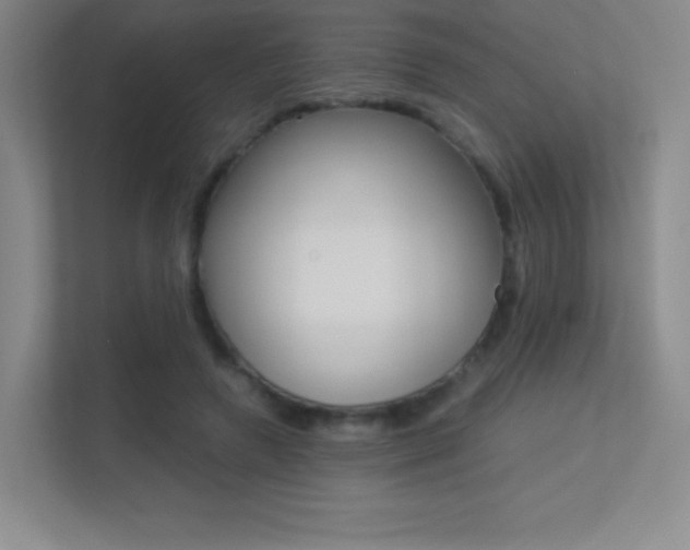 X0000113330546200909141009