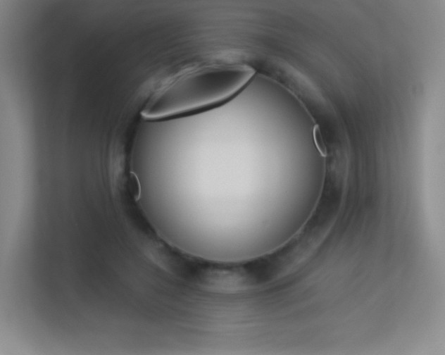 X0000113330548200909141009