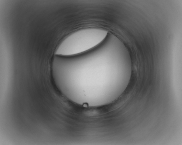 X0000113330551200909141009