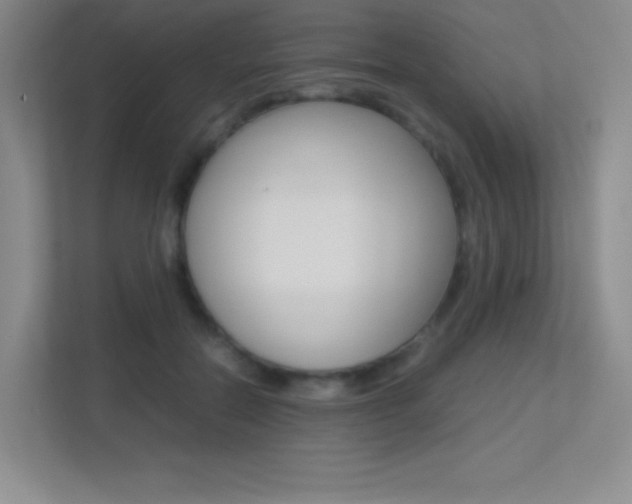 X0000113330554200909141009