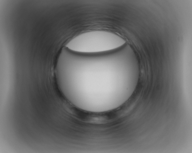 X0000113330555200909141009