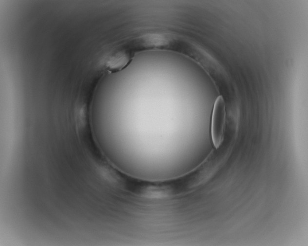 X0000113330556200909141009