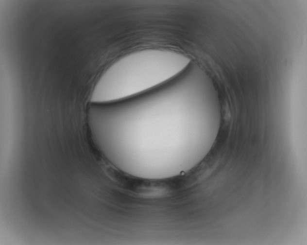 X0000113330559200909141009