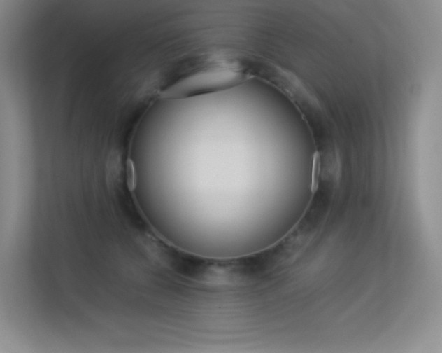X0000113330560200909141009