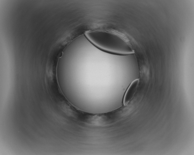 X0000113330566200909141009